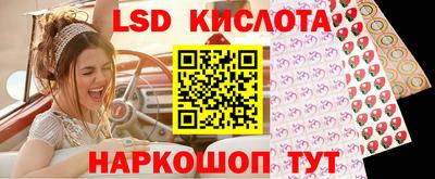 jwh Кингисепп