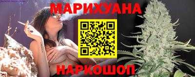 jwh Кингисепп