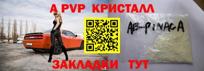 jwh Кингисепп