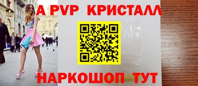 jwh Кингисепп