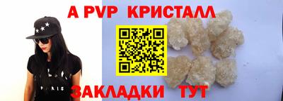 jwh Кингисепп
