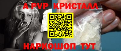 jwh Кингисепп